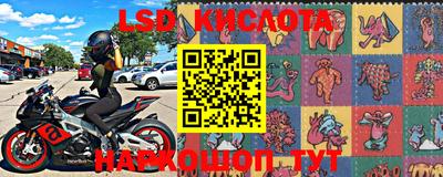 стафф Краснознаменск