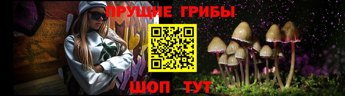 Псилоцибиновые грибы Psilocybe  Вход с VPN  цена наркотик  Ивантеевка 