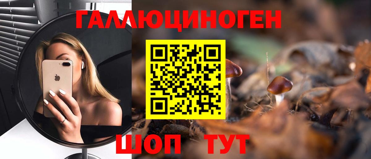 Галлюциногенные грибы Psilocybine cubensis Ивантеевка